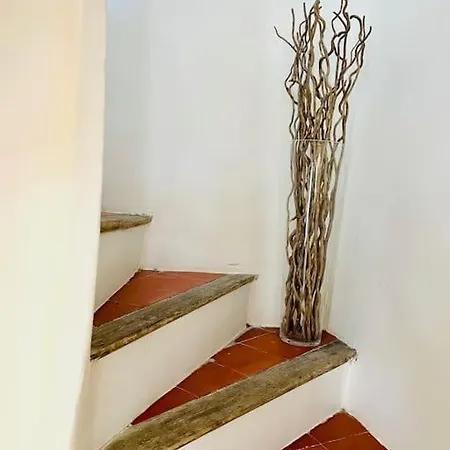 Maison Charmante Avec Terrasse, 2 Daire Marseillan (Herault)